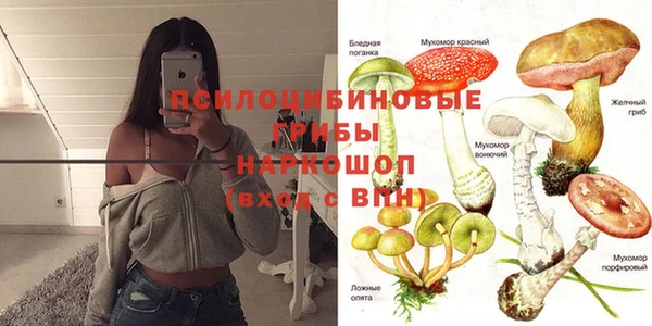 ECSTASY Заволжье