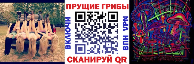 Купить закладки  Белинский  Псилоцибиновые грибы Psilocybine cubensis 